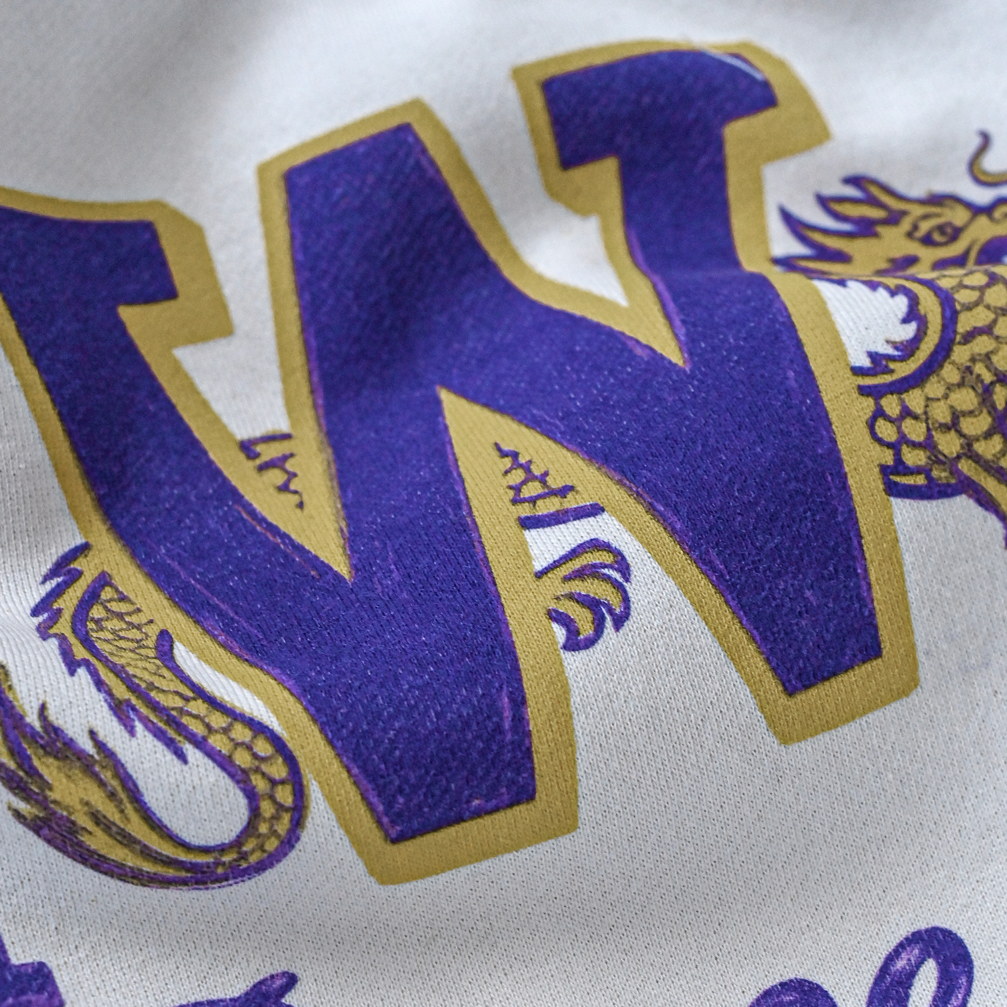 Sweat à capuche épais blanc Roots of Fight x Bruce Lee Washington Huskies Campus Legend pour homme