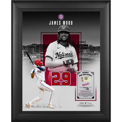 James Wood Washington Nationals Fanatics Authentic Framed 11" x 14" Showcase Collage with a Piece of Game-Used Ball - Limited Edition of 250