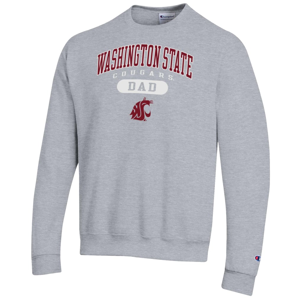 Men's Champion Gray Washington State Cougars Dad Pill Box Eco ...