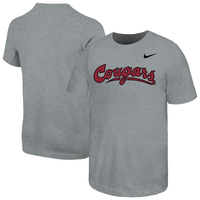  Washington State Cougars Nike Youth Core Wordmark T-Shirt - Gray