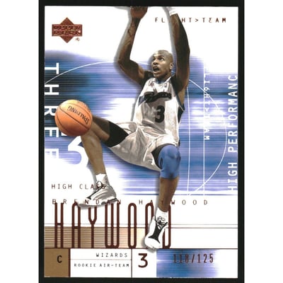 2001-02 Upper Deck Flight Team Copper #106 Brendan Haywood