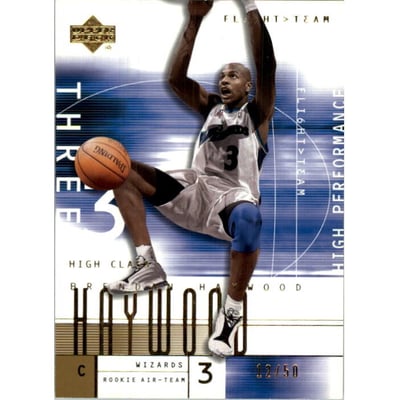 2001-02 Upper Deck Flight Team Gold #106 Brendan Haywood