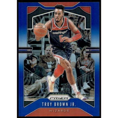 2019-20 Panini Prizm Prizms Blue #196 Troy Brown Jr.