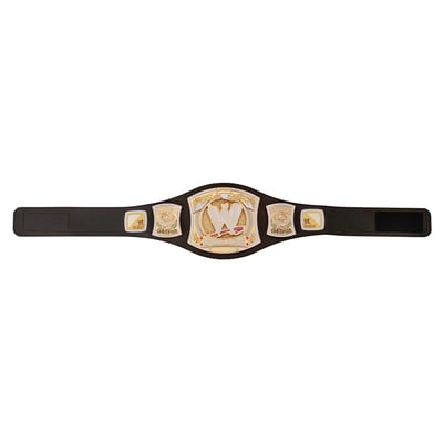 Ceinture de championnat WWE Spinner (réplique jouet)