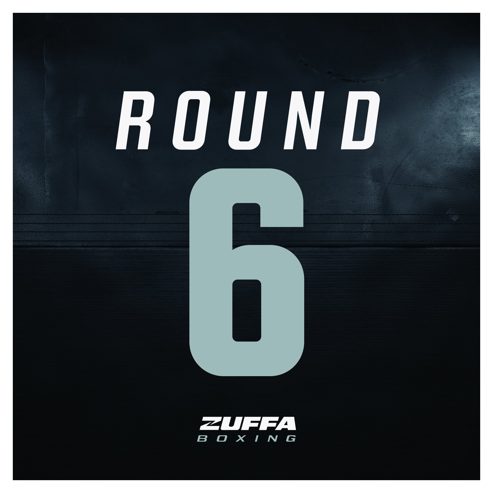 Boxing Ringside Fans Zuffa Boxing 08 Event-Used Round 6 Ring Round Card